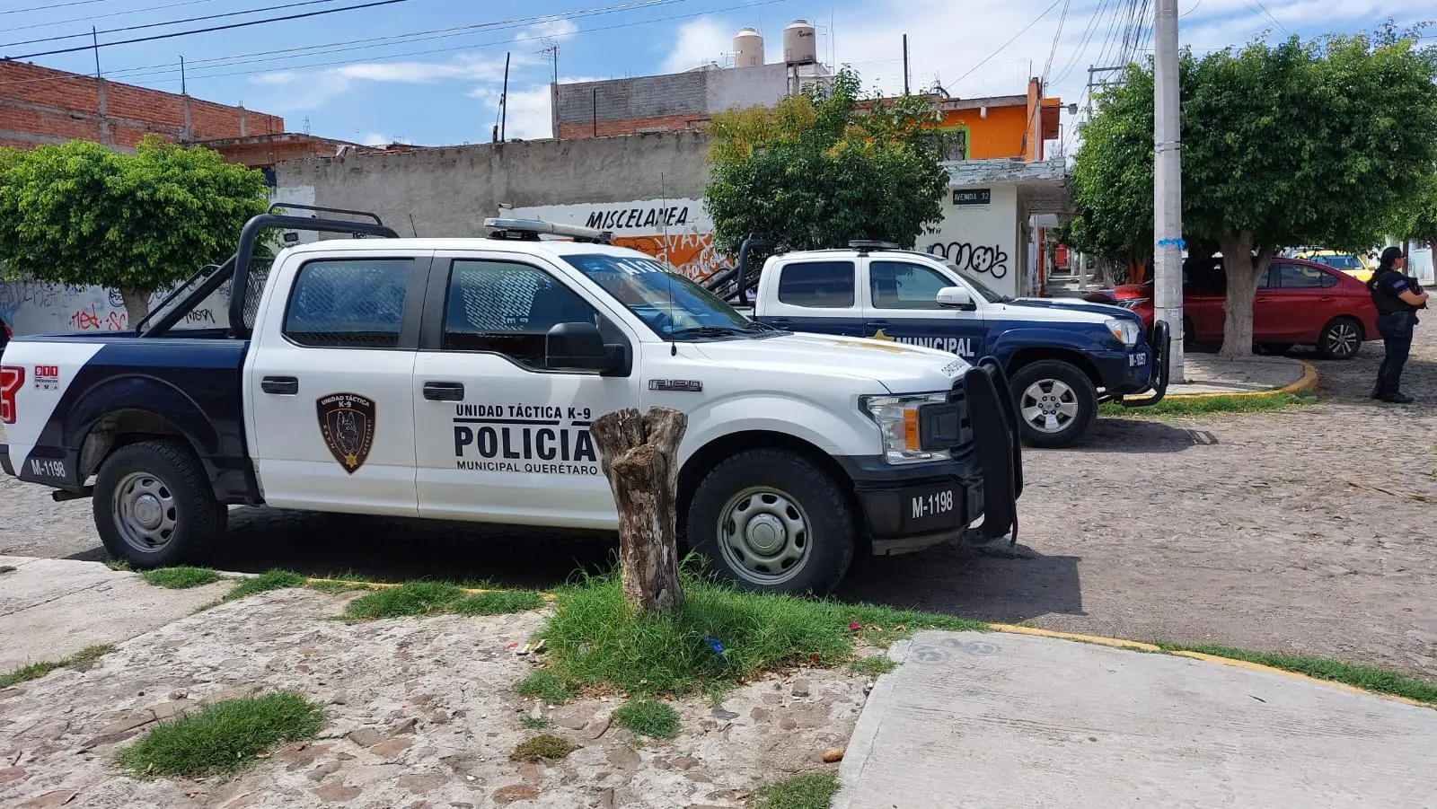 roban auto y lo abandonan en la colonia el parque Roban auto y lo abandonan en la colonia El Parque | Roban auto y lo abandonan en la colonia El Parque Noticias de