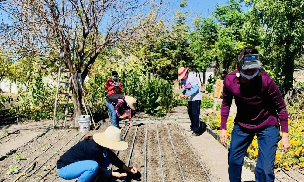 ciaspe-centro-que-trabaja-la-agroecologia | México Ahora CIASPE centro que trabaja la agroecología Noticias de Querétaro