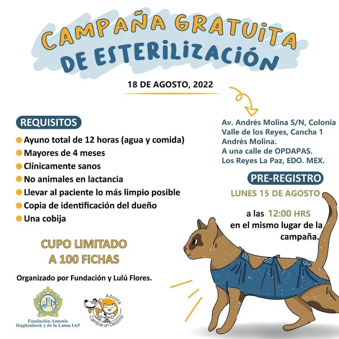 esterilizacion-de-animales-gratuita-en-los-reyes-la-paz | México Ahora Esterilización de animales gratuita en Los Reyes La Paz Primero