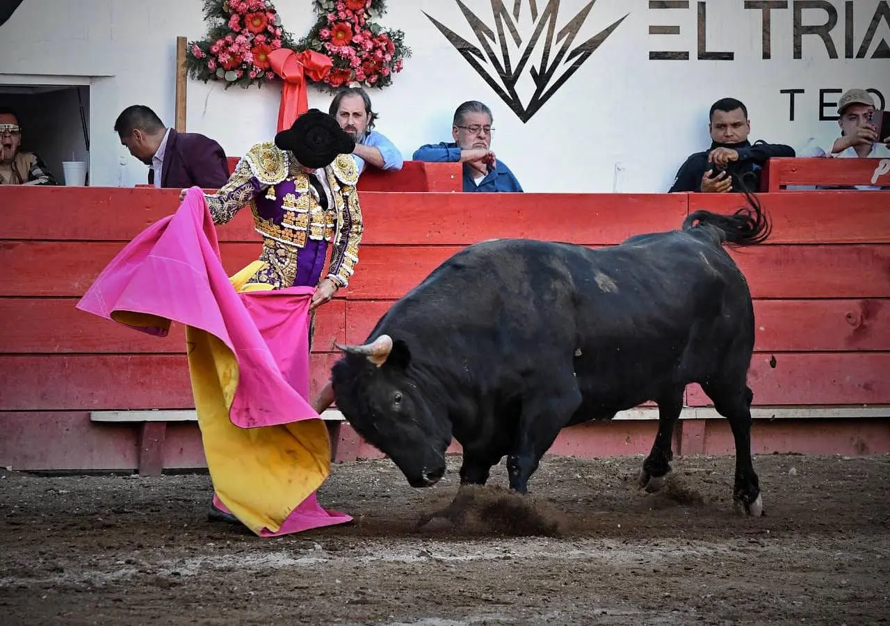 golpe-a-la-fiesta | México Ahora Golpe a la fiesta Noticias de Querétaro