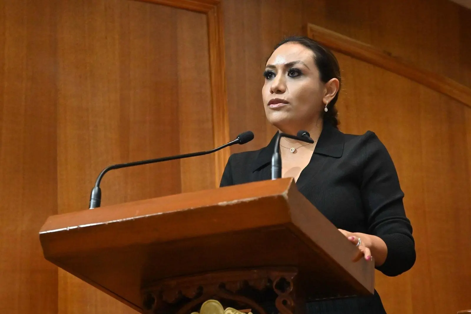 pide-legisladora-mc-frente-comun-ante-la-delincuencia | México Ahora Pide legisladora MC frente común ante la delincuencia Primero