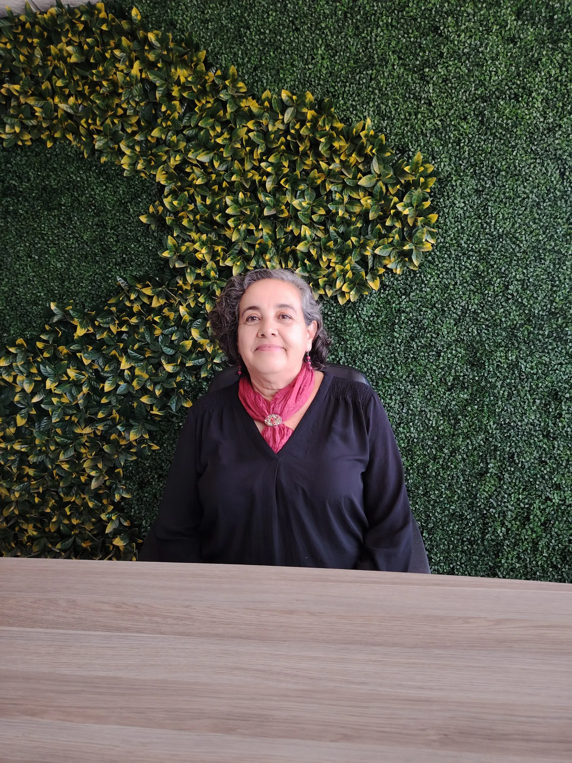 noticias-es-referente-gisela-sanchez-presidente-del-comite-directivo-estatal-de-morena | México Ahora Noticias es referente Gisela Sánchez presidente del Comité