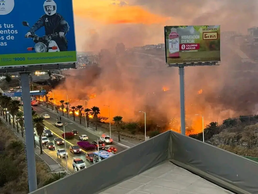 incendio-de-pastizal-en-prolongacion-constituyentes-moviliza-a-cuerpos-de-emergencias | México Ahora Incendio de pastizal en prolongación Constituyentes moviliza a