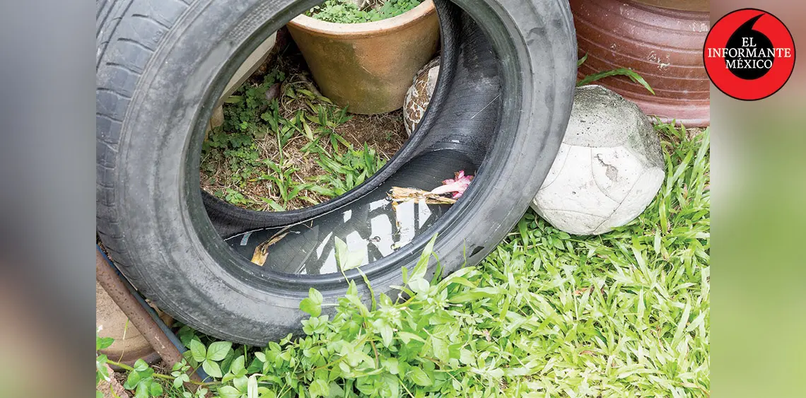 llamo-issemym-a-prevenir-dengue-zika-y-chikungunya | México Ahora ISSEMYM llama a prevenir dengue zika y chikungunya El