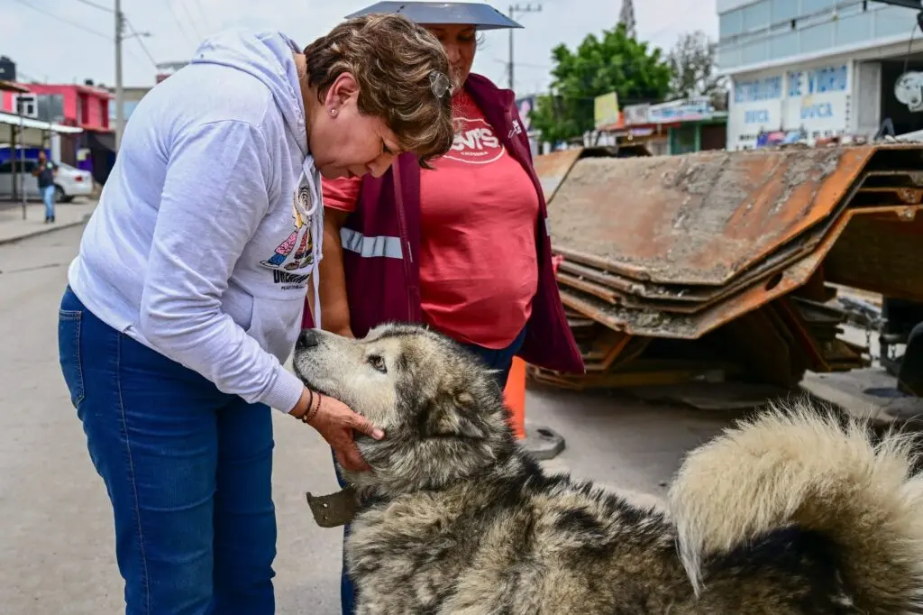 presentaron-estrategia-para-sobrepoblacion-de-animales-callejeros | México Ahora Presenta Edomex estrategia para atender sobrepoblación de animales