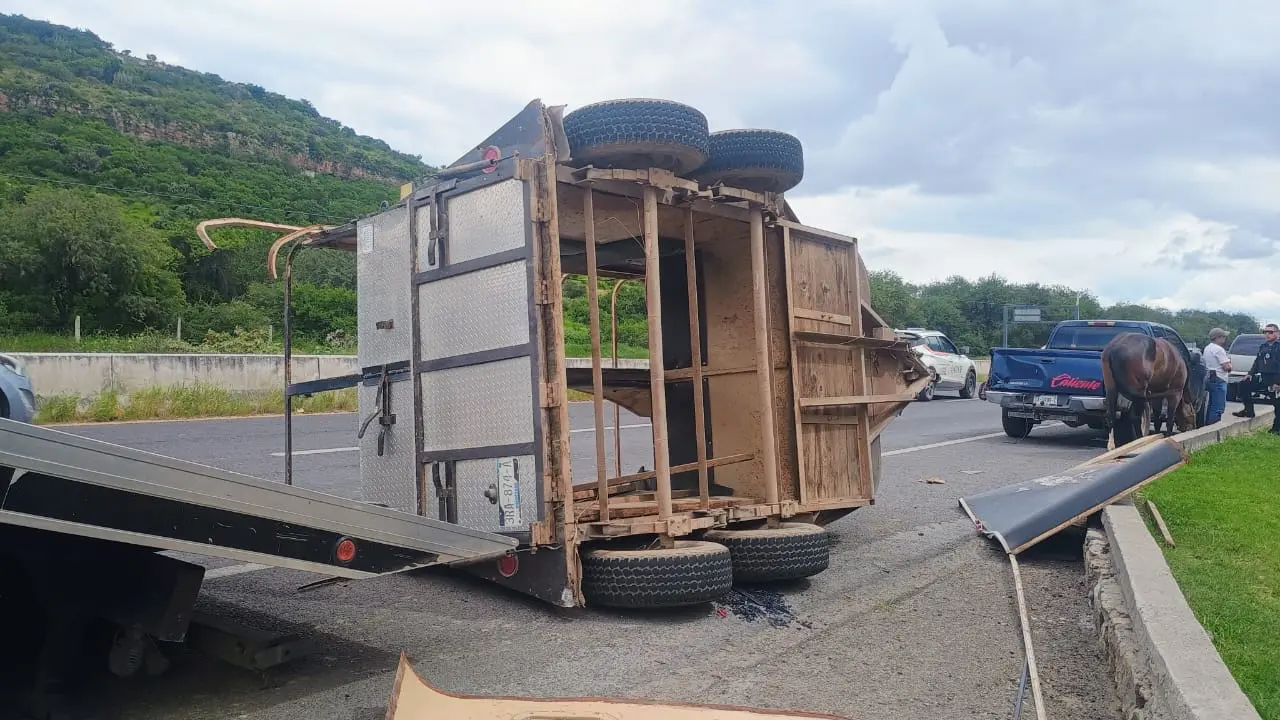 remolque-con-caballo-vuelca-en-la-carretera-san-juan-del-rio-xilitla | México Ahora Remolque con caballo vuelca en la carretera San Juan del Río