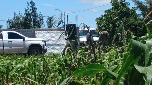 rina-alerta-a-vecinos-sanjuanenses | México Ahora Riña alerta a vecinos Sanjuanenses Noticias de Querétaro