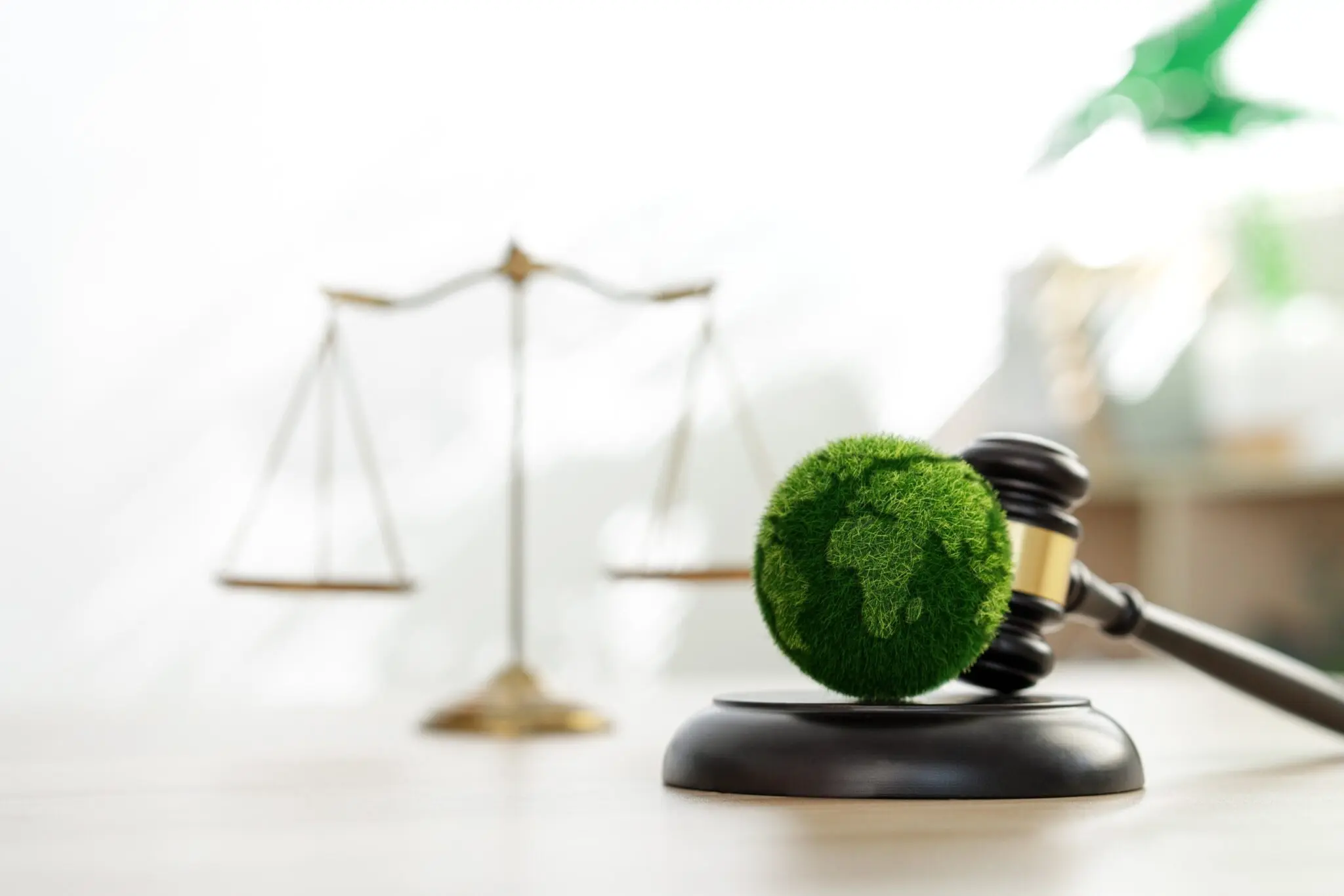 analizo-pjedomex-justicia-ambiental-en-foro-estatal | México Ahora Analizó PJEdomex justicia ambiental en foro estatal Primero Editores