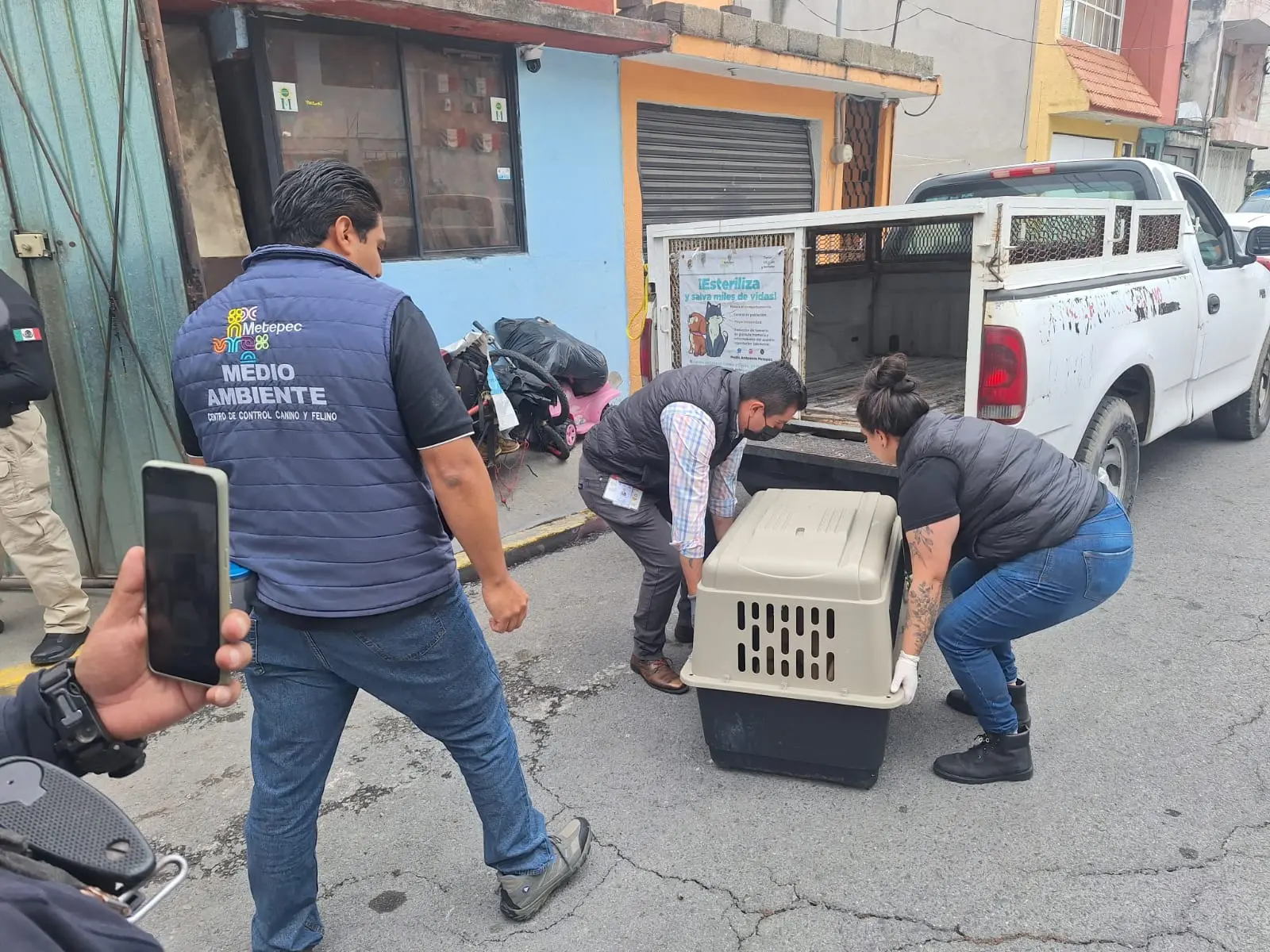 ed2111dd-3530-4aba-bba0-b9c725e07967 | México Ahora