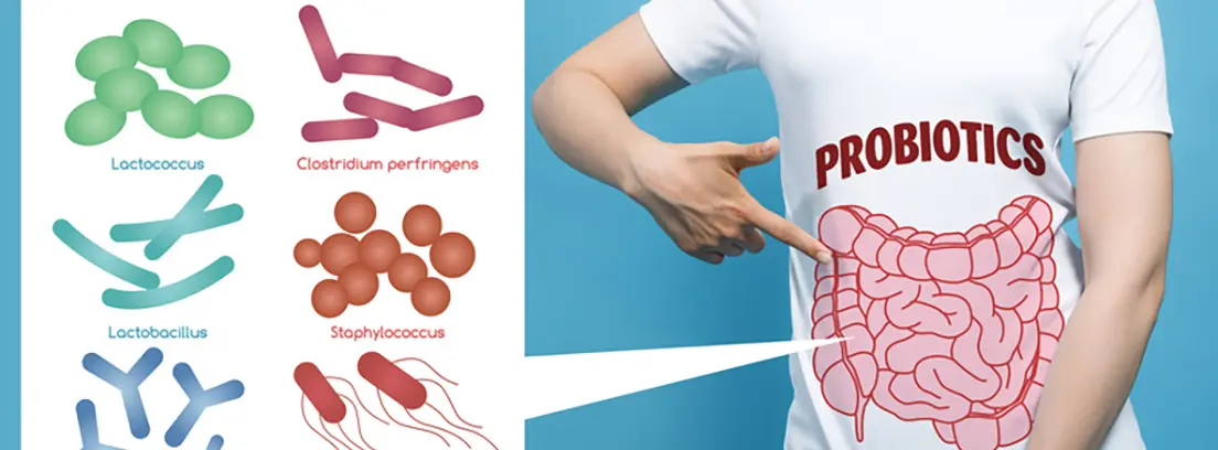 que es la flora intestinal por que es tan importante y como mantenerla en perfecto estado Qué es la flora intestinal por qué es tan importante y cómo mantenerla en perfecto estado | Qué es la flora intestinal y cómo mejorarla canalSALUD