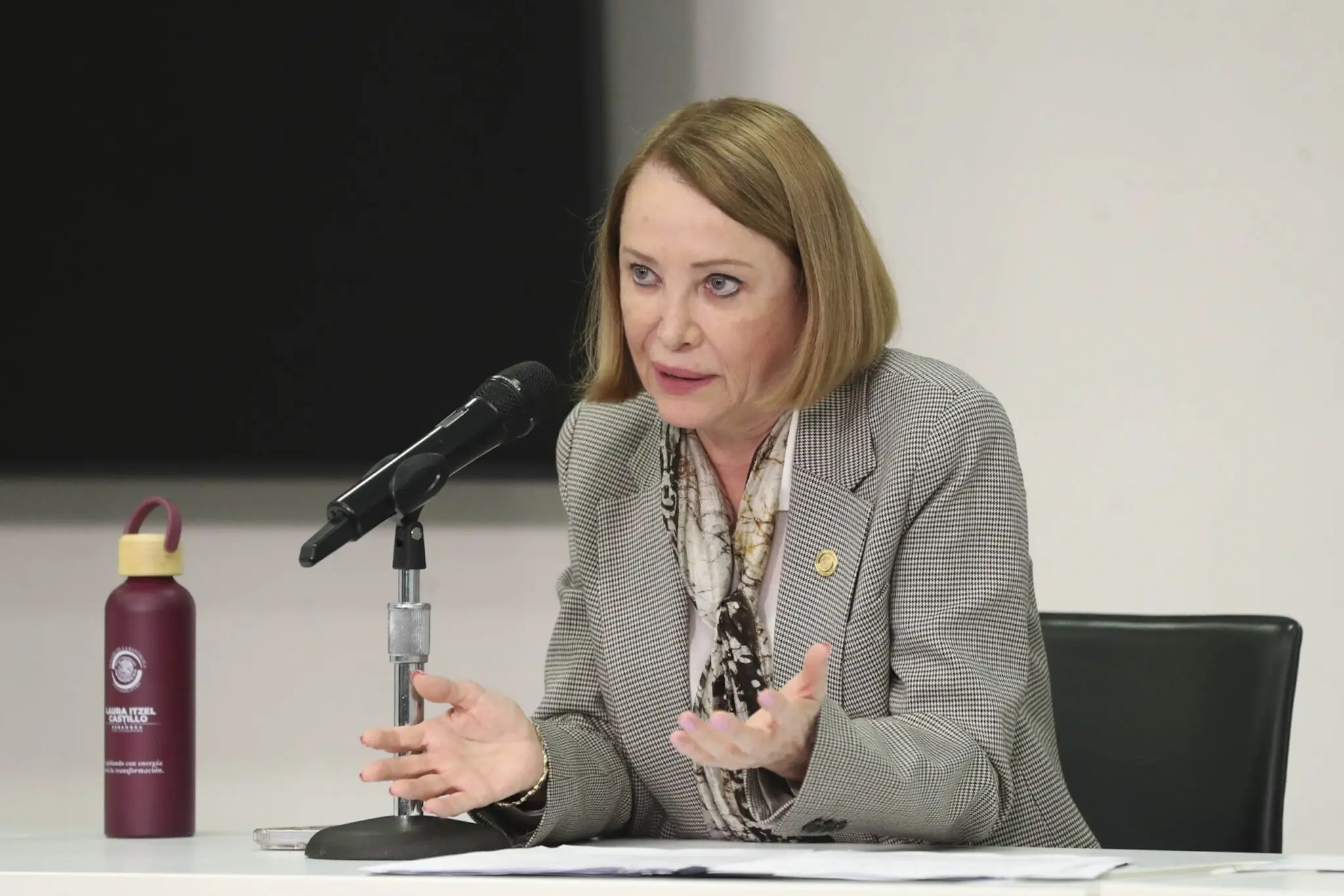 castillo juarez pidio avanzar en la iniciativa para reformar la ley de amparo Castillo Juárez pidió avanzar en la iniciativa para reformar la Ley de Amparo | Castillo Juárez pidió avanzar en la iniciativa para reformar la