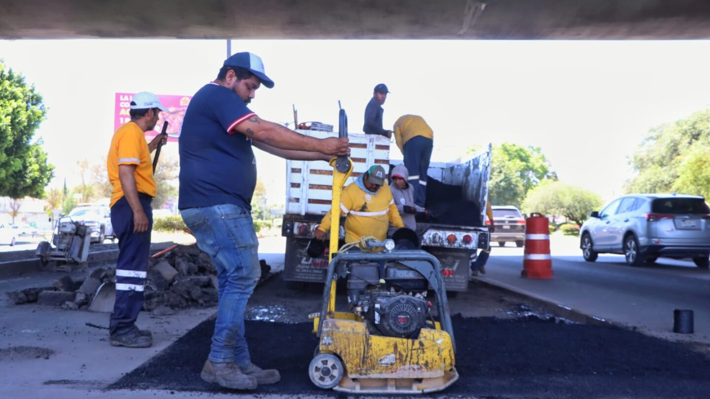 corregidora-pone-en-accion-las-brigada-antibaches | México Ahora Corregidora pone en acción las Brigada Antibaches Noticias de