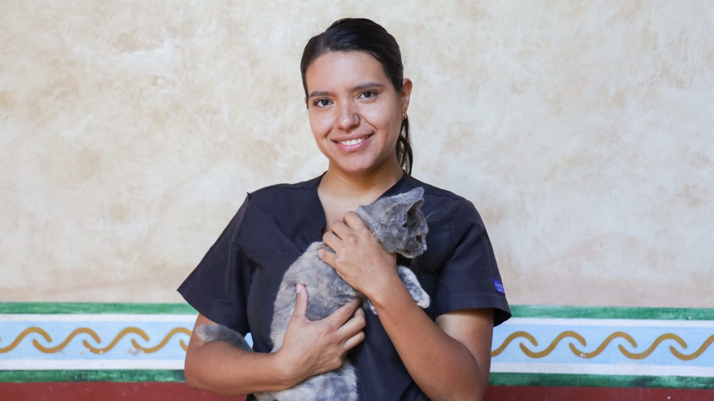 impulsa-corregidora-la-campana-esteriliza-y-protege | México Ahora Impulsa Corregidora la campaña Esteriliza y Protege Noticias