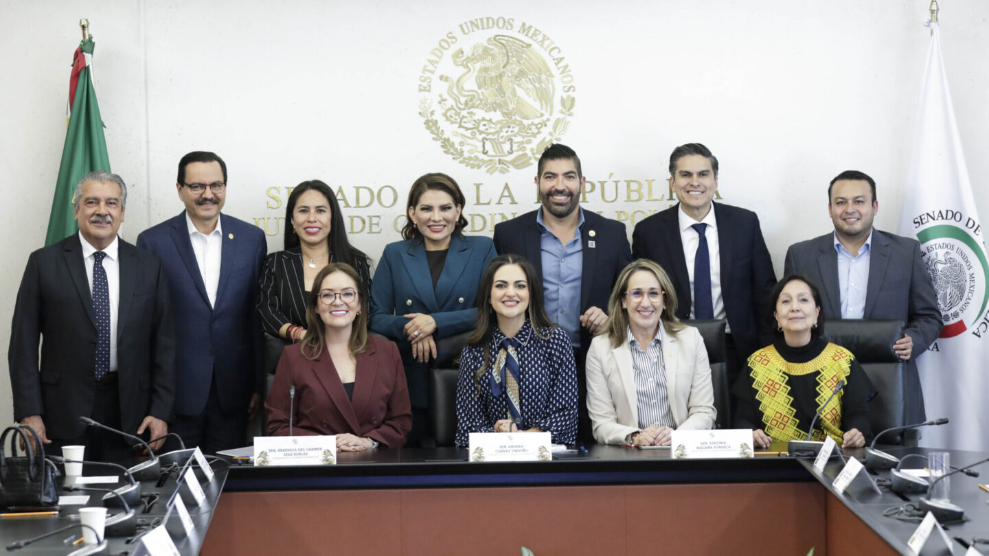 aprueba-comision-de-bienestar-en-el-senado-plan-para-reducir-pobreza | México Ahora Aprueba Comisión de Bienestar en el Senado plan para reducir