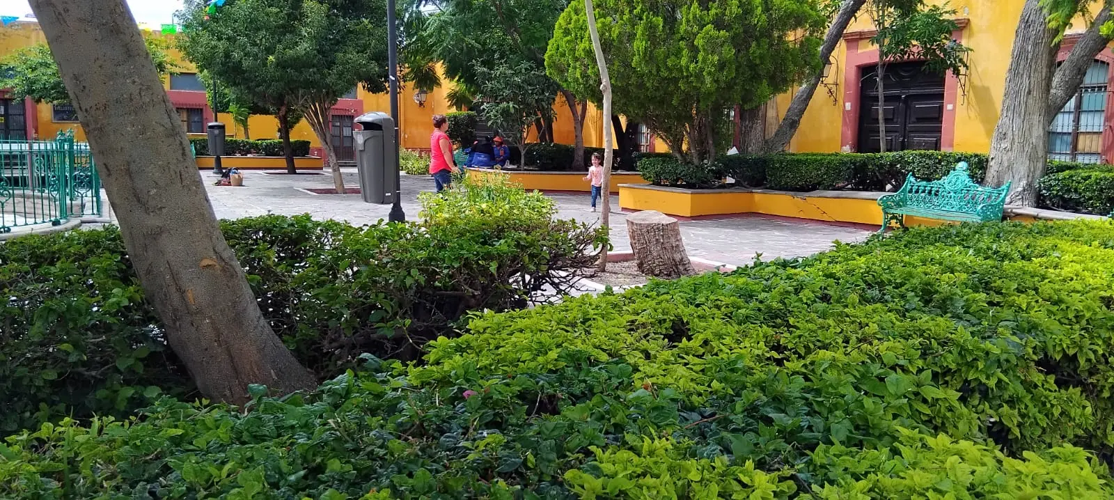 celebran-el-100-aniversario-del-historico-jardin-san-sebastian | México Ahora Celebran el 100 aniversario del histórico jardín San Sebastián