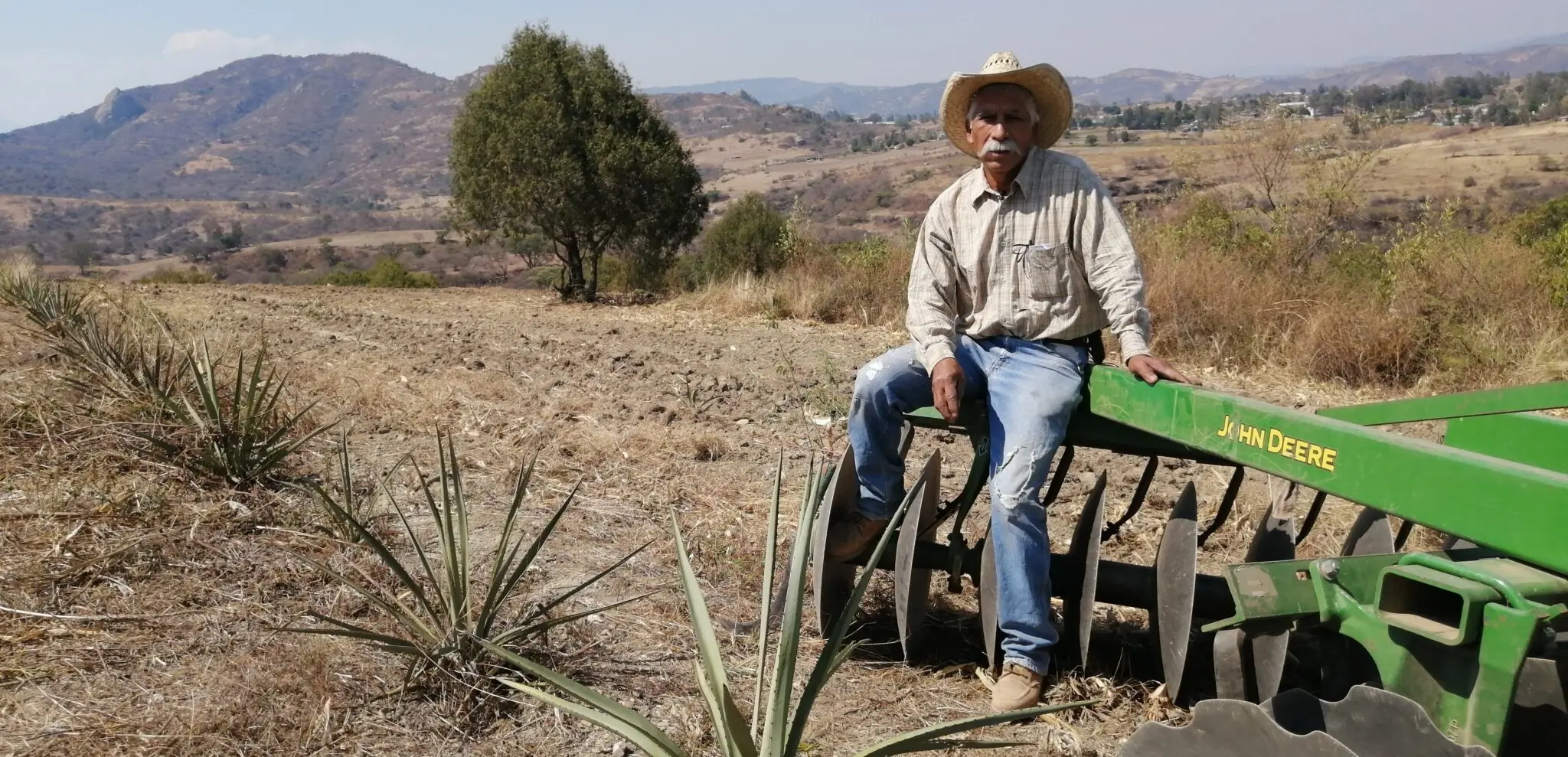impulsan-926-hectareas-de-agave-mezcalero-en-edomex | México Ahora Impulsan 926 hectáreas de agave mezcalero en Edoméx Primero Editores
