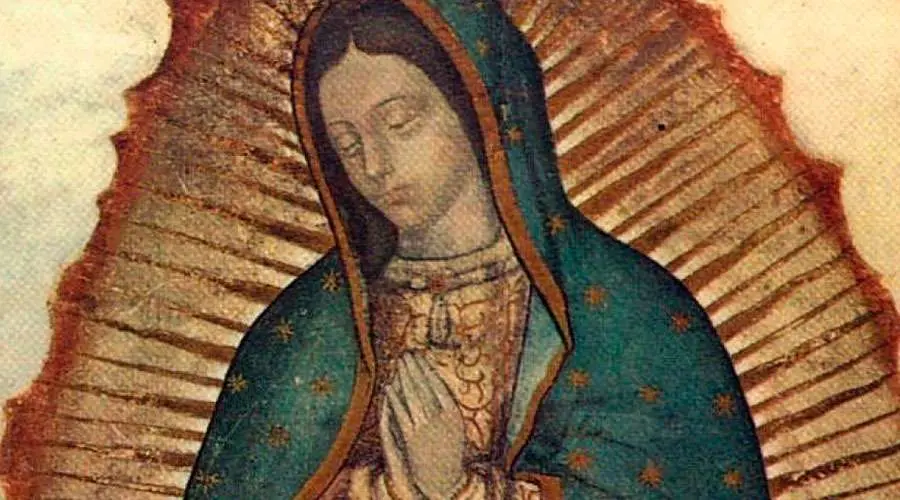 la-virgen-de-guadalupe-marco-la-historia-religiosa-de-mexico | México Ahora La Virgen de Guadalupe marcó la historia religiosa de México