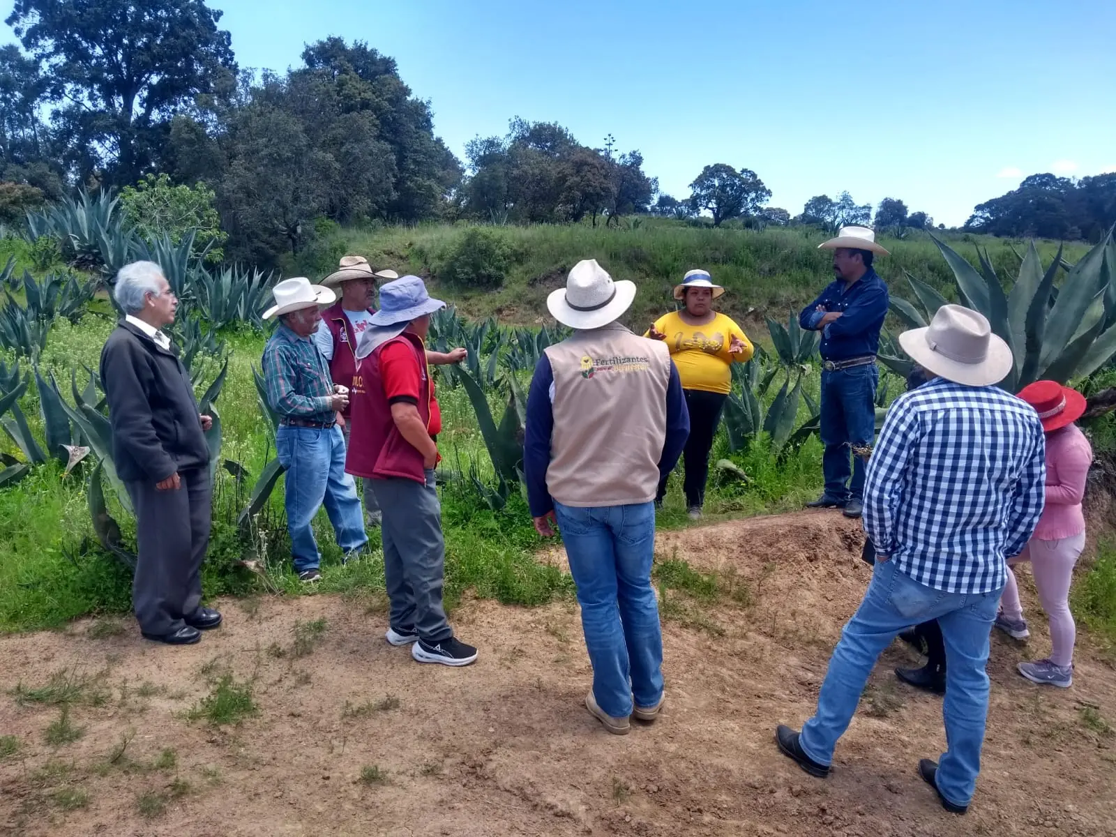 ad42465c 377a 48a2 abb6 fc9da4087ff6 Celebrarán Día Nacional del Pulque en Jiquipilco |