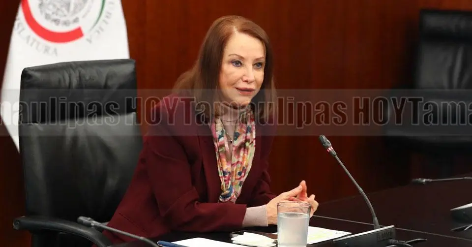 reforma electoral garantiza autonomia del organo electoral laura itzel castillo Reforma electoral garantiza autonomía del órgano electoral Laura Itzel Castillo | Hoy Tamaulipas Nacional Reforma garantizara independencia y