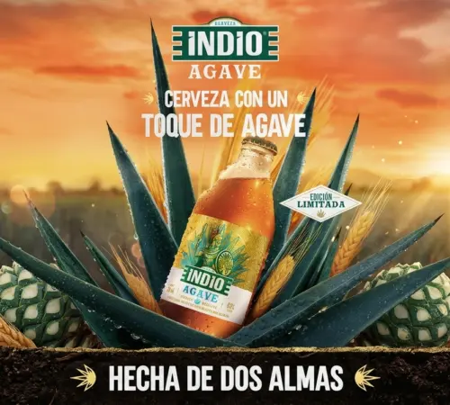 Indio Agave será parte permanente del mercado cervecero mexicano | México Ahora Indio Agave será parte permanente del mercado cervecero mexicano