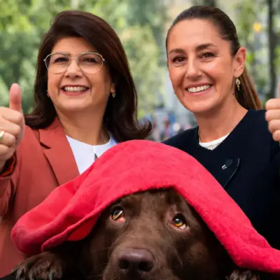Sheinbaum defiende a Mariela Gutiérrez tras sacrificio de perros en Tecámac | México Ahora Sheinbaum defiende a Mariela Gutiérrez tras sacrificio de perros en Tecámac
