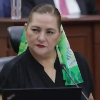 INE aclara que investigar narco-candidatos no es su función afirma Guadalupe Taddei | México Ahora INE aclara que investigar narco candidatos no es su función afirma Guadalupe Taddei