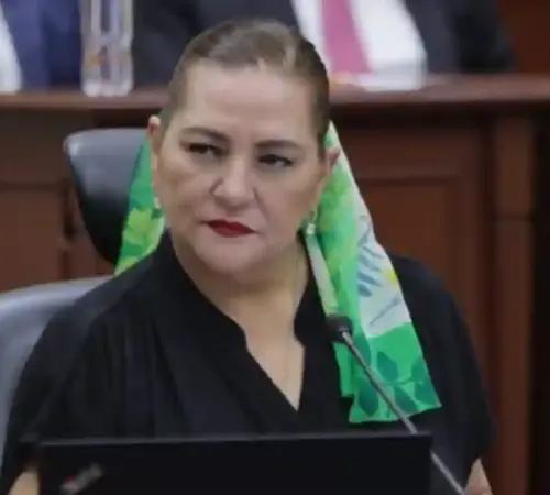 INE aclara que investigar narco-candidatos no es su función afirma Guadalupe Taddei | México Ahora INE aclara que investigar narco candidatos no es su función afirma Guadalupe Taddei