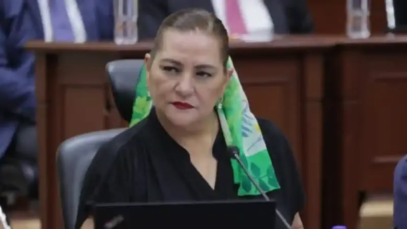 INE aclara que investigar narco-candidatos no es su función afirma Guadalupe Taddei | México Ahora INE aclara que investigar narco candidatos no es su función afirma Guadalupe Taddei