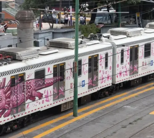 Tren ligero reanuda servicio completo tras disturbios en las vías | México Ahora Tren ligero reanuda servicio completo tras disturbios en las vías