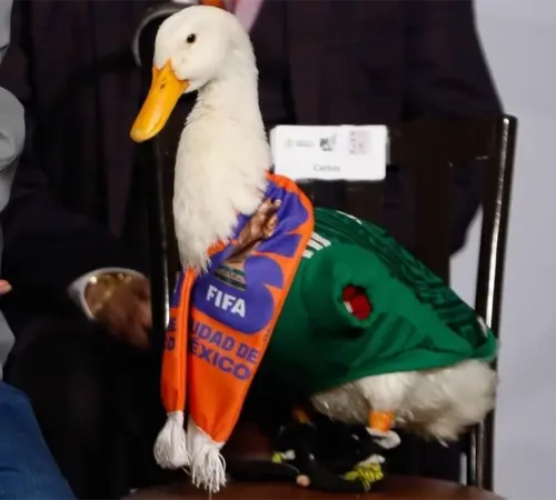 imgMA2026patomerlin Lotería Nacional lanzará billete conmemorativo del Pato Merlín | resentan billete especial del Pato Merlín por el Mundial 2026