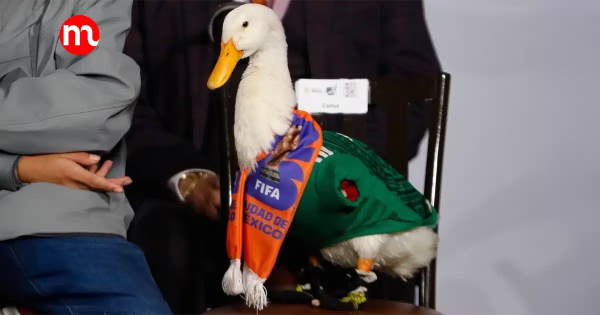 imgMA2026patomerlin Lotería Nacional lanzará billete conmemorativo del Pato Merlín | resentan billete especial del Pato Merlín por el Mundial 2026