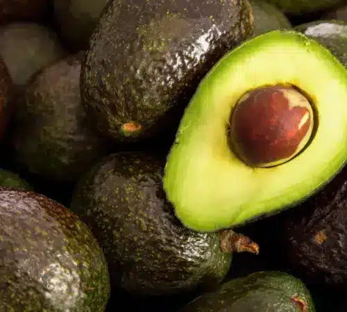 Aguacate Michoacán exportación a EU sigue suspendida tercer día Aguacate de Michoacán exportación a EU sigue suspendida por tercer día | Aguacate de Michoacán exportación a EU sigue suspendida por tercer día
