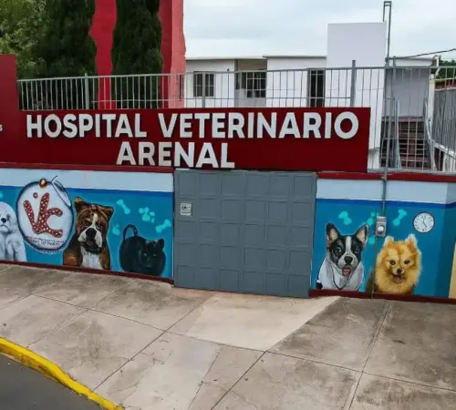Hospital veterinario público CDMX atenderá mascotas 24 horas Hospital veterinario público en CDMX atenderá mascotas las 24 horas | Hospital veterinario público en CDMX atenderá mascotas las 24 horas