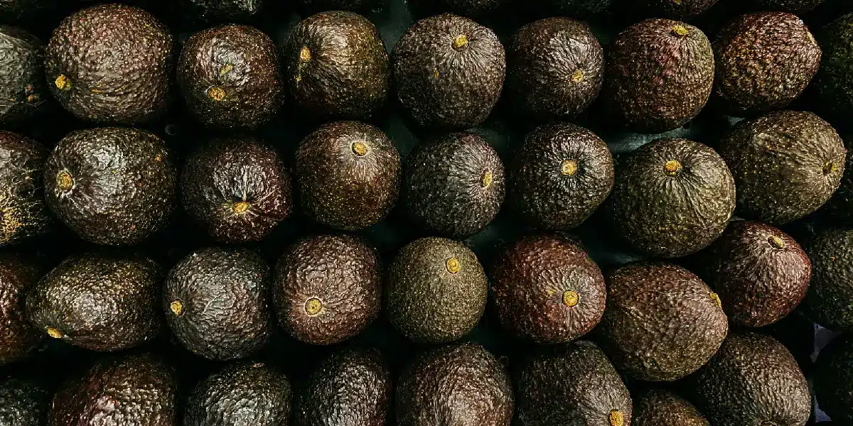 El aguacate es uno de los productos agroalimentarios más importantes de México con Estados Unidos como su principal comprador internacional Estados Unidos suspende temporalmente las importaciones de aguacate de Michoacán tras alerta de seguridad | La decisión afecta temporalmente las operaciones de los empaques autorizados para exportar aguacate de Michoacán a Estados Unidos
