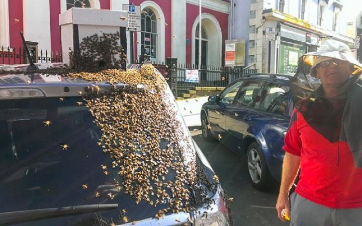 Un abuelo murió por un ataque de abejas en NL