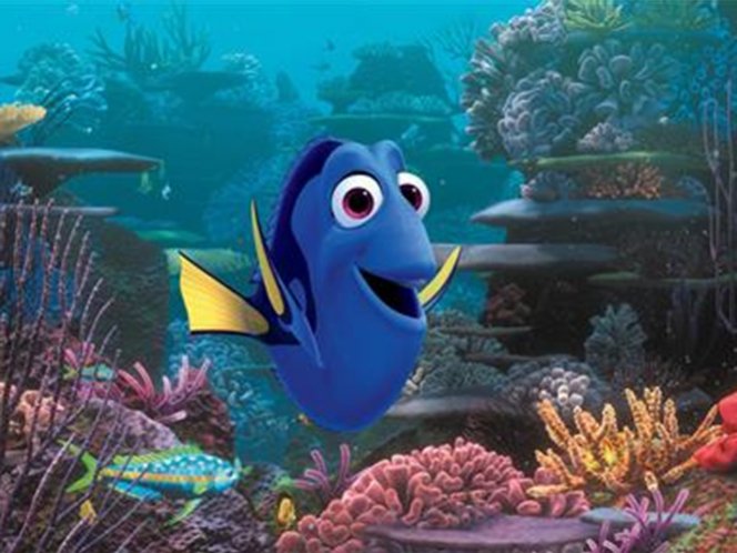 Logran reproducir por primera vez en cautiverio al pez "Dory"