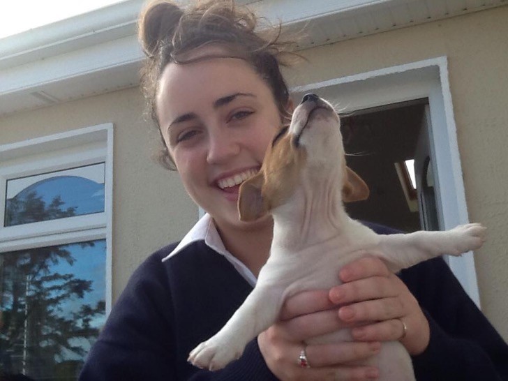 Este tierno perrito es la nueva víctima del Photoshop. La verdad es que nadie tuvo compasión
