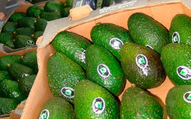 Estadounidenses y mexicanos luchan por comer aguacate