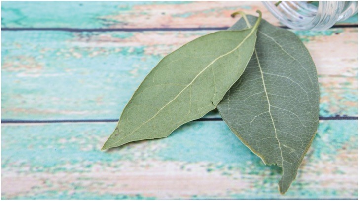 Él quemó una hoja de laurel en su hogar. Lo que le ocurrió a los 10 minutos fue milagroso