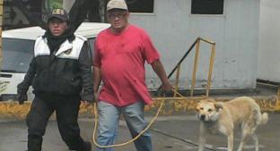 Denuncian a 'servidor público' por torturar y matar perros