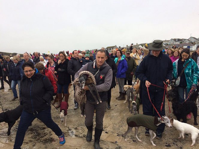 Cientos de personas acompañan a perro en su última caminata