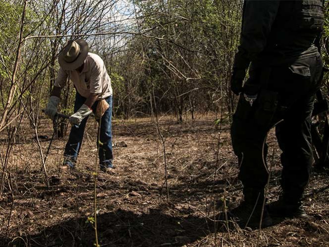 Son 32 los cuerpos encontrados en fosas clandestinas en Zitlala