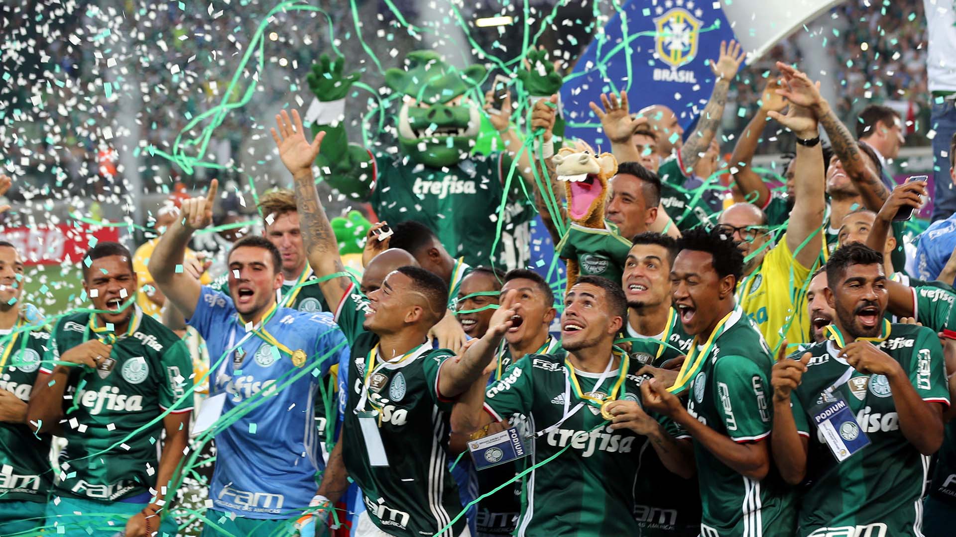 Tras 22 años, Palmeiras se consagró campeón del Brasileirao