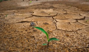 Pueblos originarios son excluidos de propuesta del Gobierno sobre cambio climático