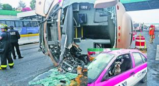 Taxista y su mascota libran la muerte en accidente