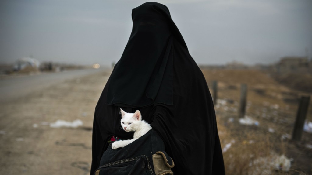 La foto que retrata el dramático éxodo desde Mosul