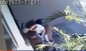 (Video) Madre heroína luchó con dos perros feroces para salvar la vida de su hijo