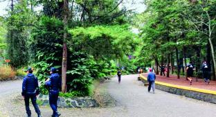 Corredores de Bosque de Tlalpan acusan que ya bajaron seguridad