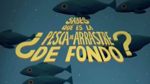 (VIDEO) Proponen medidas para eliminar progresivamente la pesca de arrastre de fondo