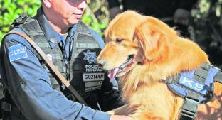 Le dan jubilación a canes policías